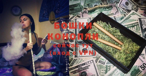 гашик Няндома