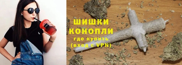 гашик Няндома